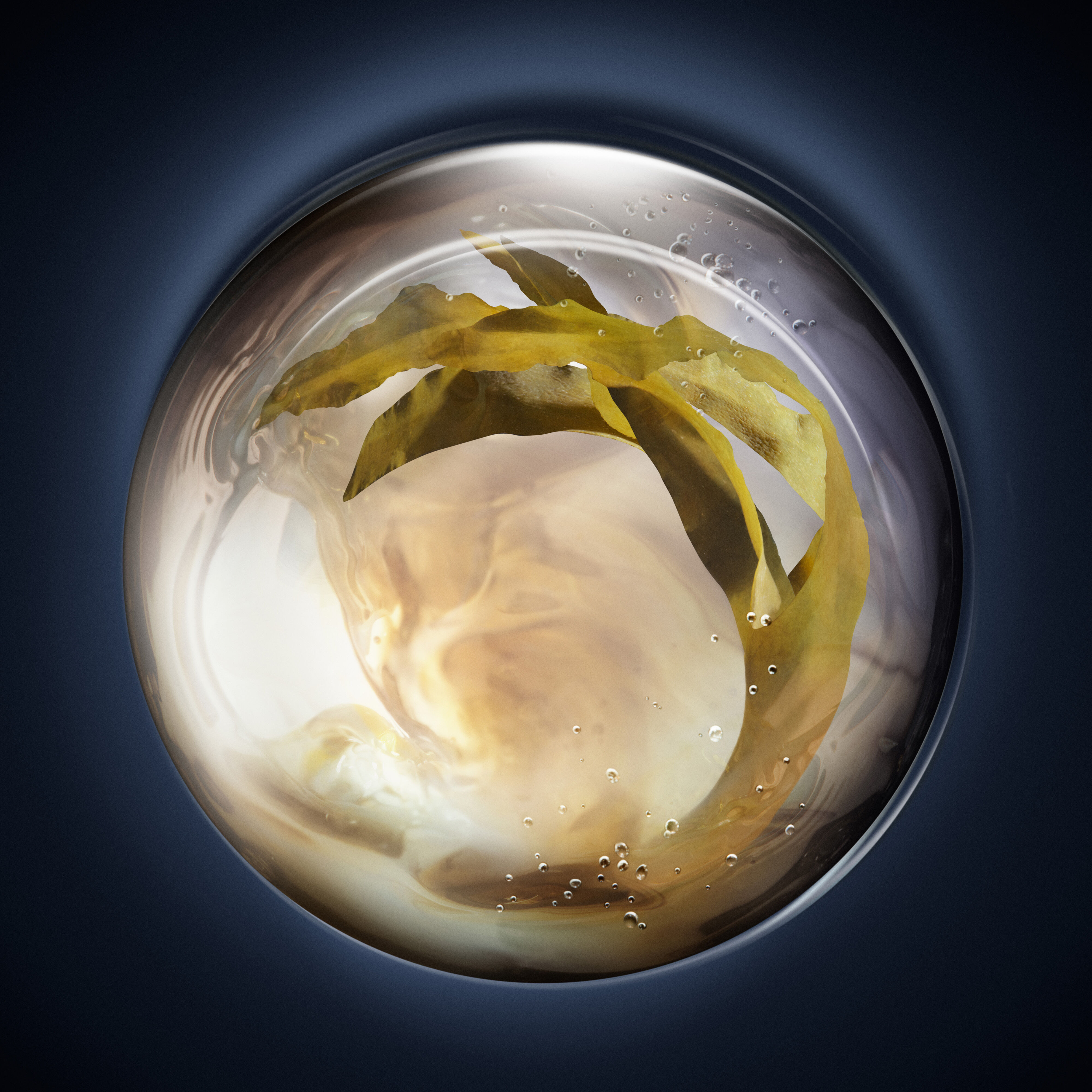 ソワン ノワール セラム ファンデーション - ファンデーション